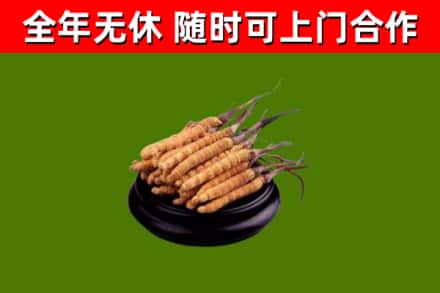 基隆市烟酒回收冬虫夏草.jpg