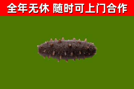 基隆市烟酒回收干海参.jpg